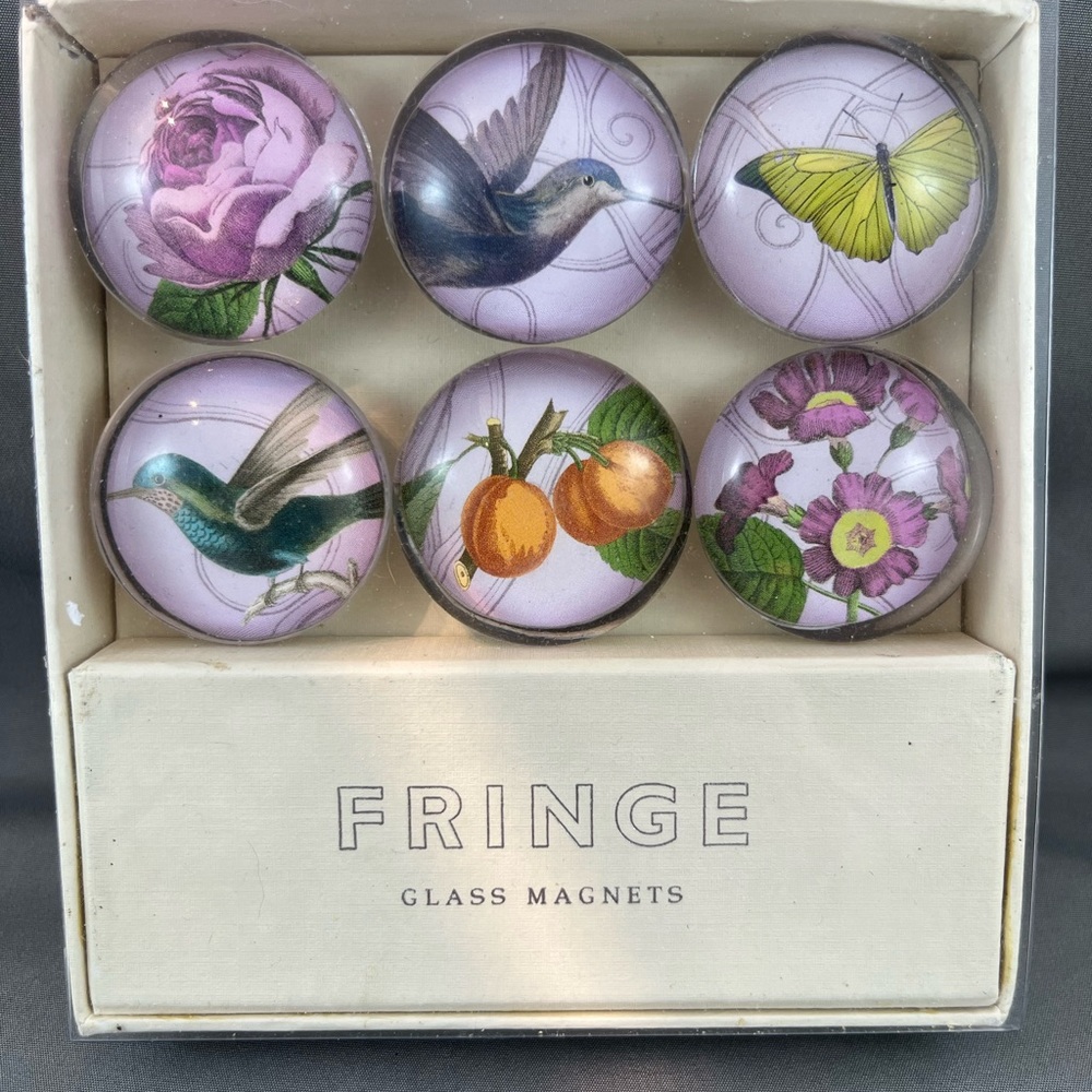 Fringe Studio Glass Magnets - Purple, Green, Orange